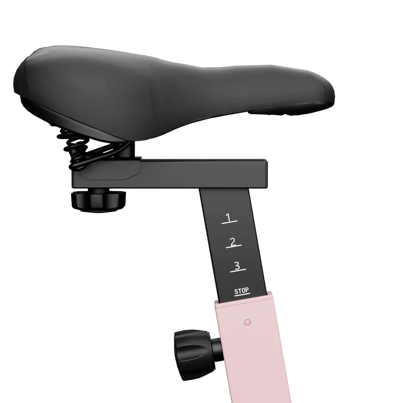 DeerRun S500 Rose Indoor-Smart-Bike mit einstellbarem magnetischem Widerstand und leisem Riemen und PitPat App