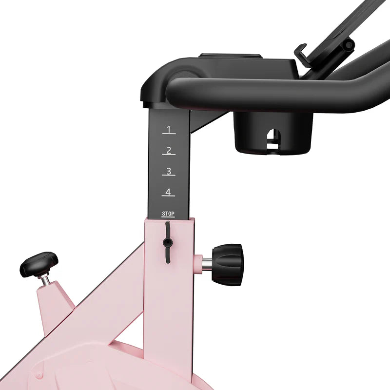 DeerRun S500 Rose Indoor-Smart-Bike mit einstellbarem magnetischem Widerstand und leisem Riemen und PitPat App